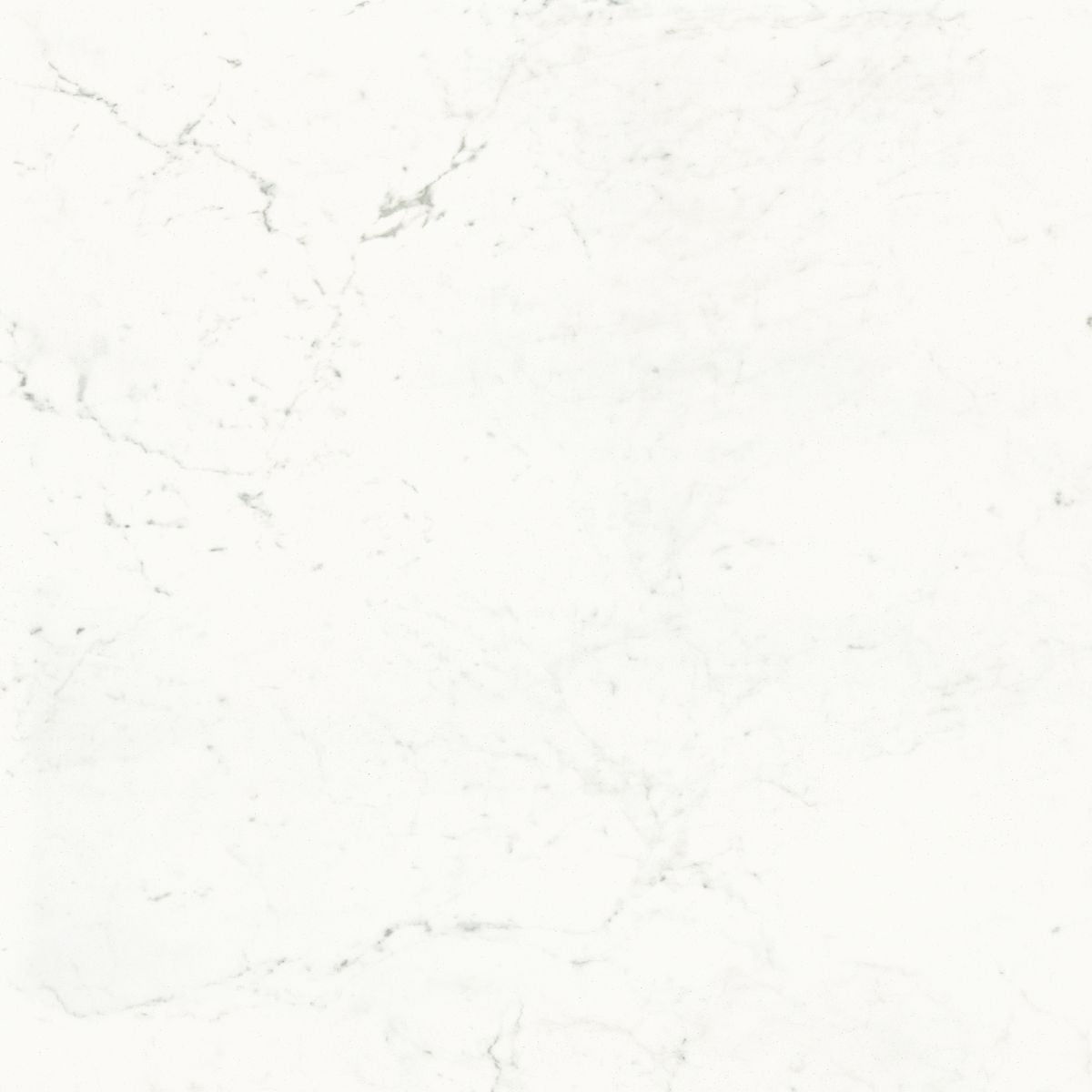 RICCHETTI - Carrara Pure 60x120